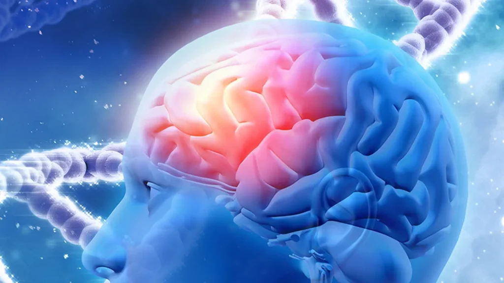 Imagen del cerebro
